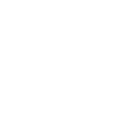 Iris logo